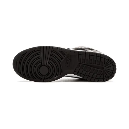nike-dunk 304292-131