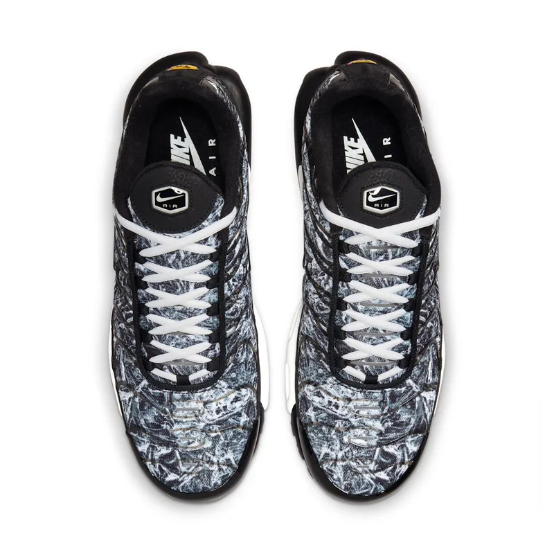 Nike TN Air Max Plus Dark Smoke Grey (DO6384-001)