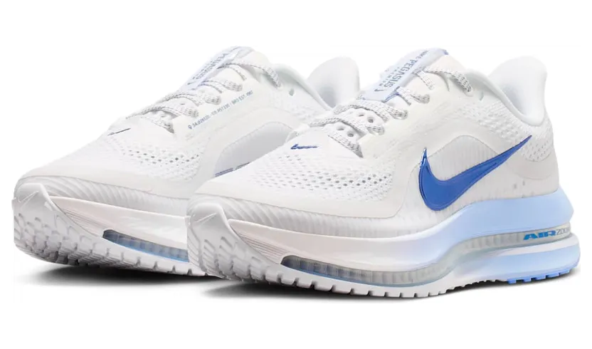 nike-air-pegasus HQ2593-107