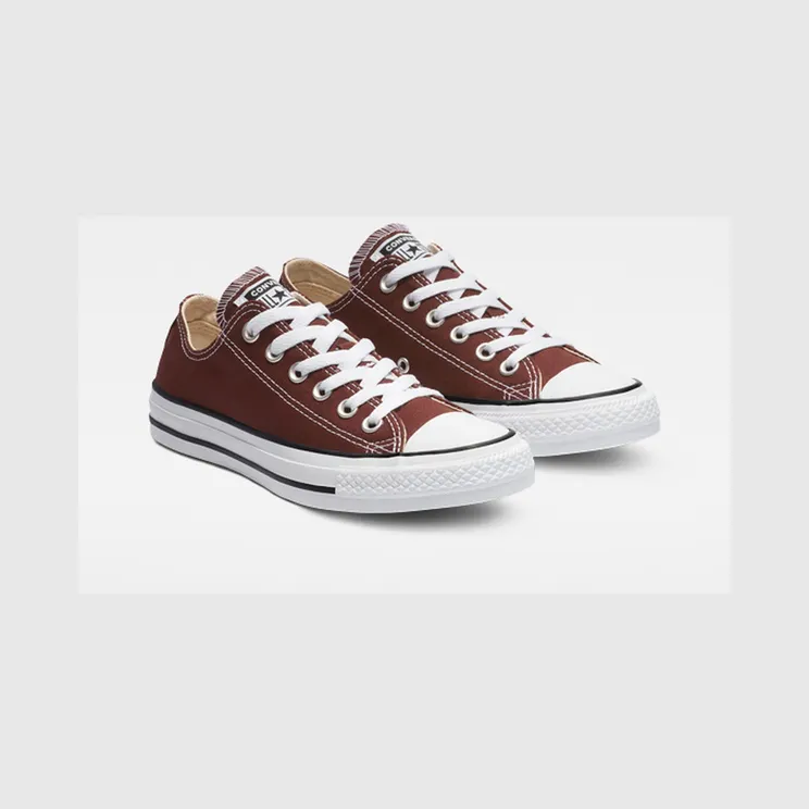 converse-chuck-taylor-all-star 163356F