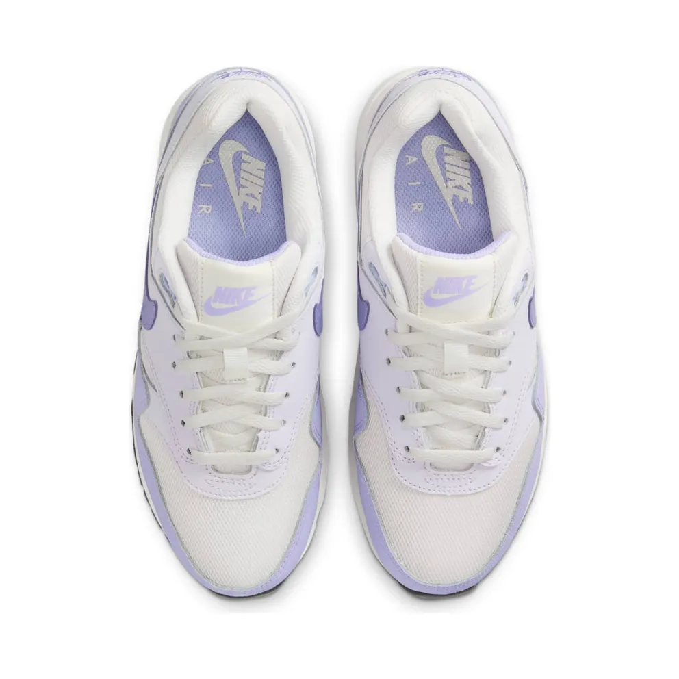 Nike Air Max 1 Platinum Tint Barely Grape Black Hydrangeas (DZ3307-011)