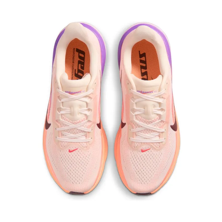 nike-air-pegasus IB1881-113