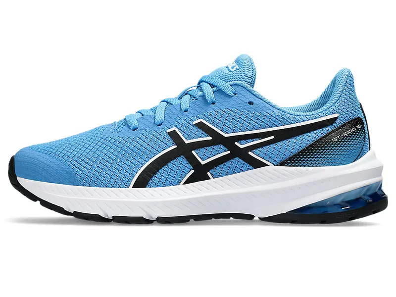 Asics Gt-1000 12 Gs Waterscape/Black (1014A296.404)