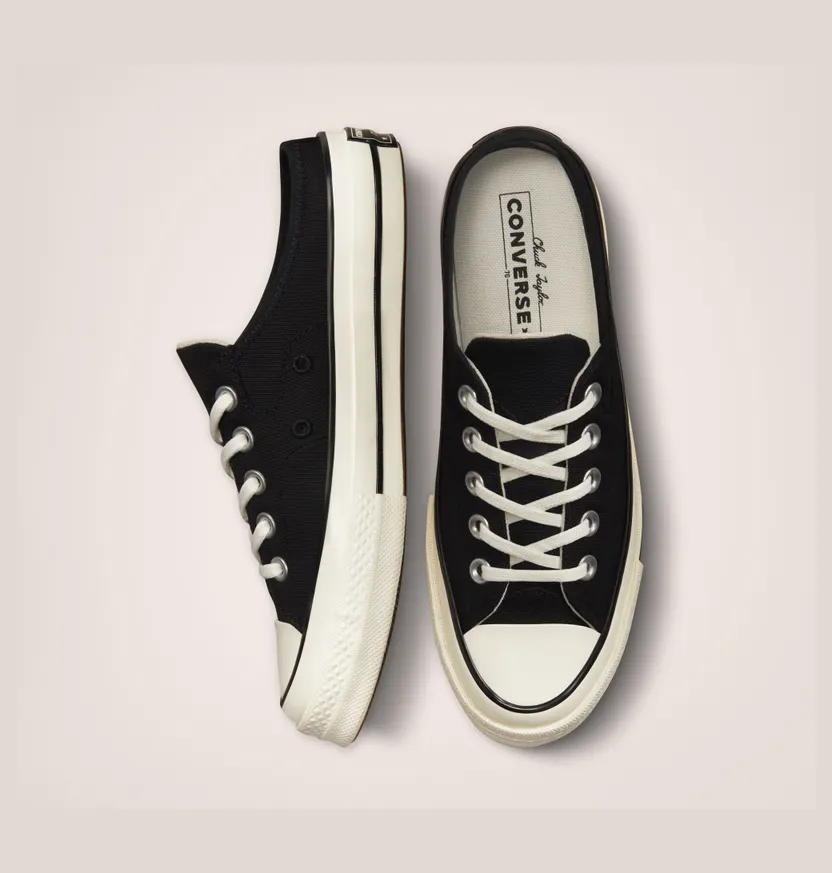 converse-chuck-taylor-all-star 172591C