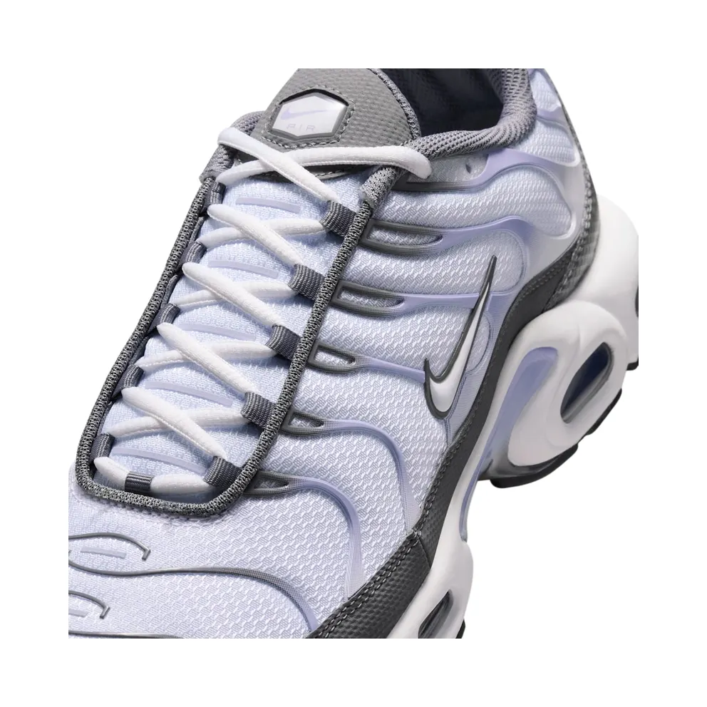 Nike Air Max Plus Smoke Grey/Light Armory Blue/Dark Smoke Grey/White (IV5757-070)