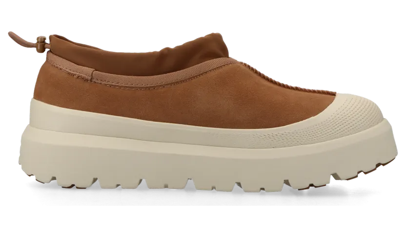 ugg-tasman 1144096-CWTC