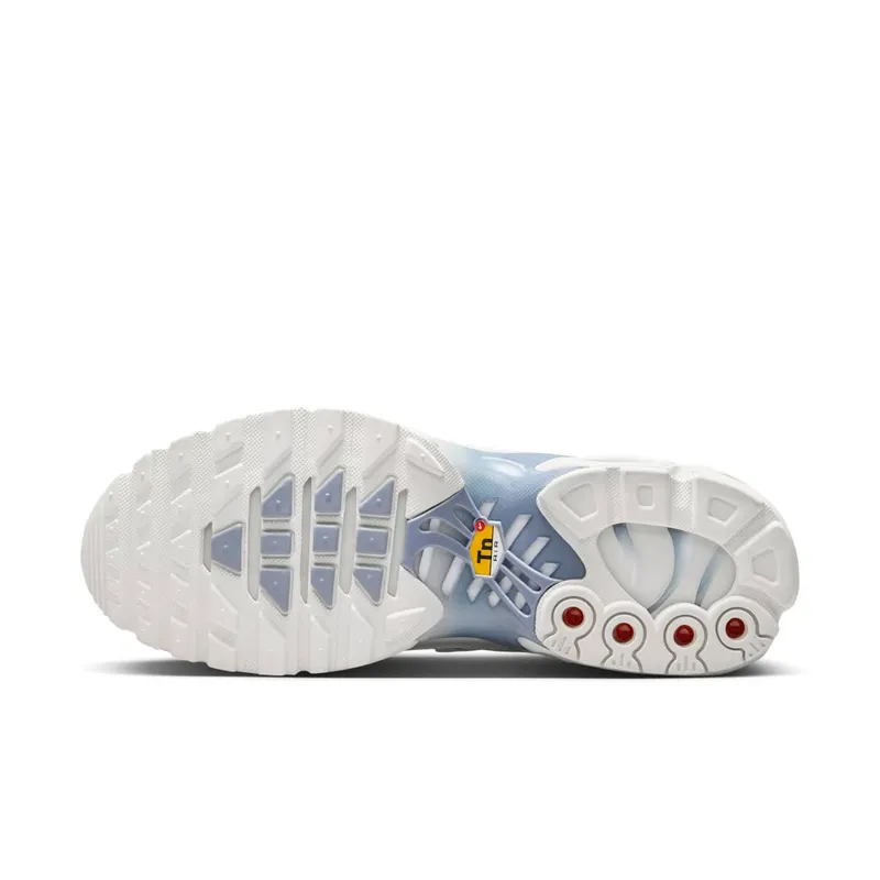 Nike Air Max Plus Ashen Slate (DZ3671-104)