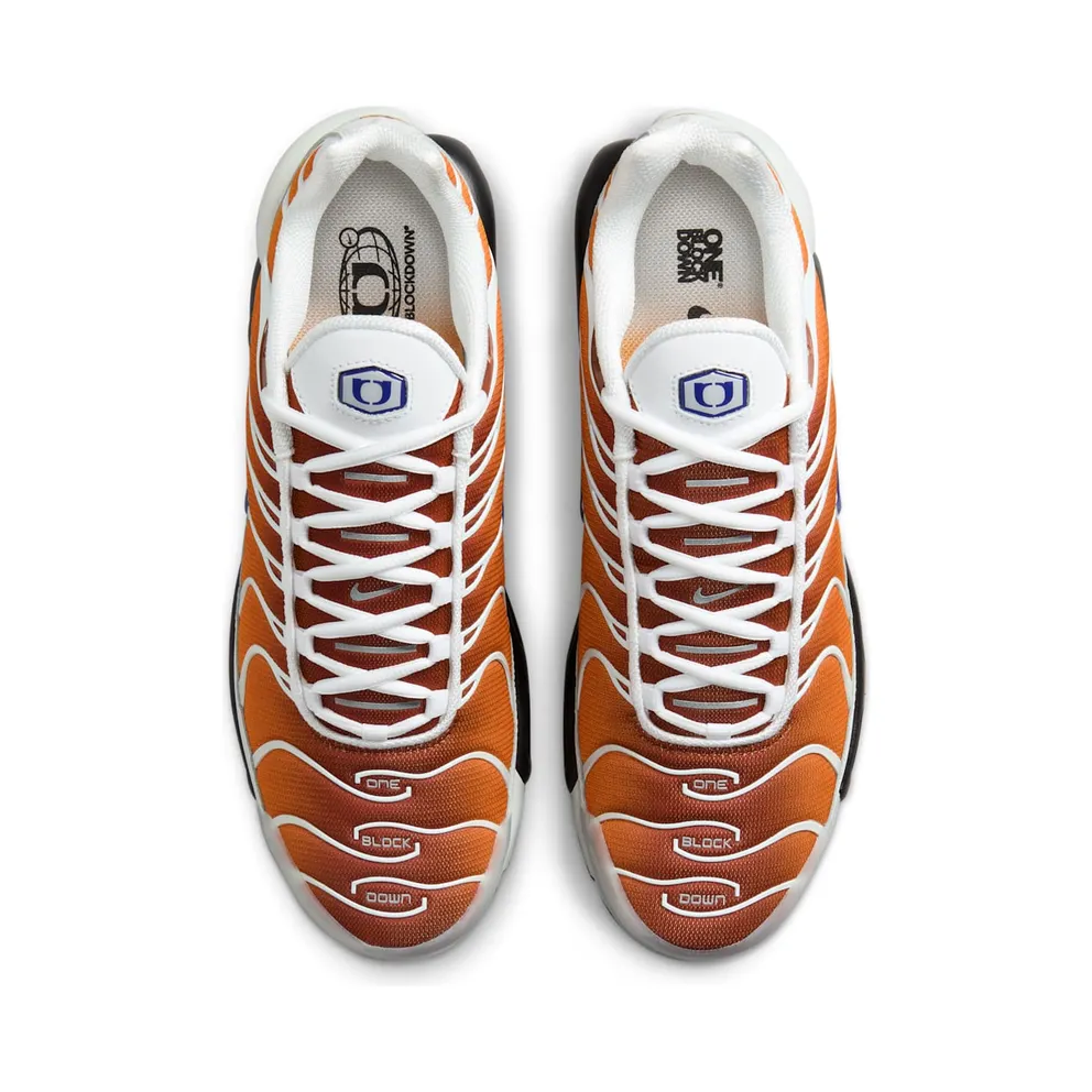 Nike Air Max Plus One Block Down Chutney (FZ3308-700)