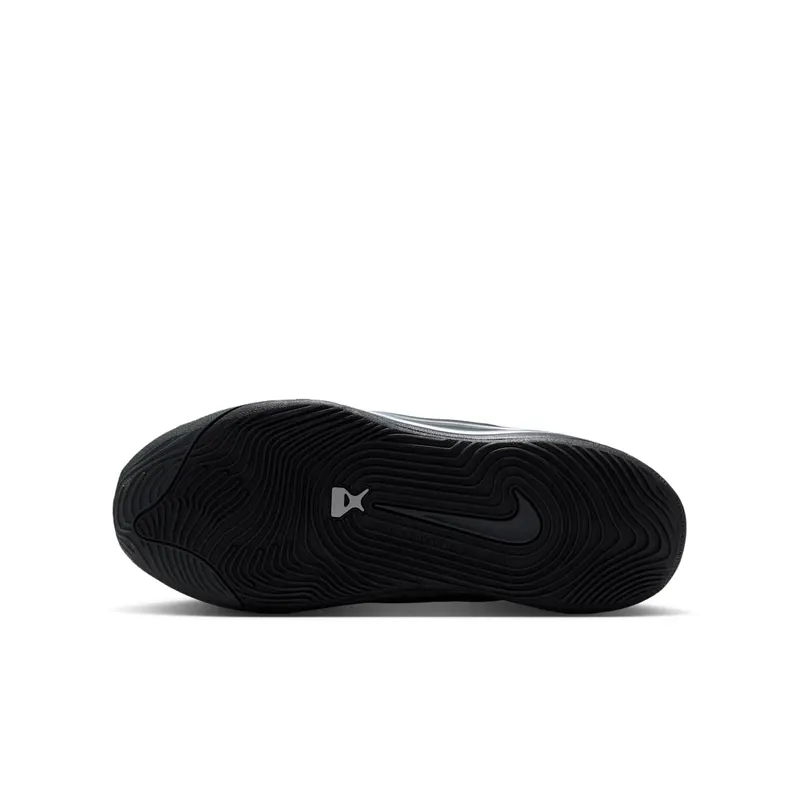 Nike A’ja Wilson A’One Black Dark Smoke Grey (HF7001-004)