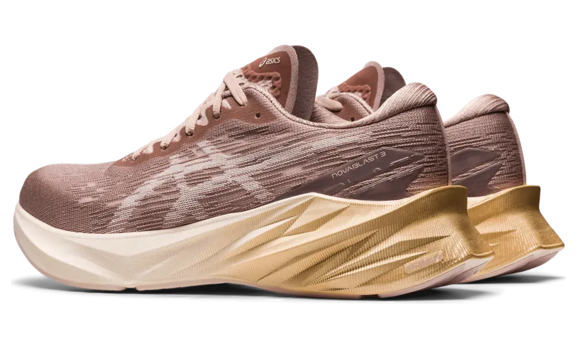 asics-novablast 1012B288.702
