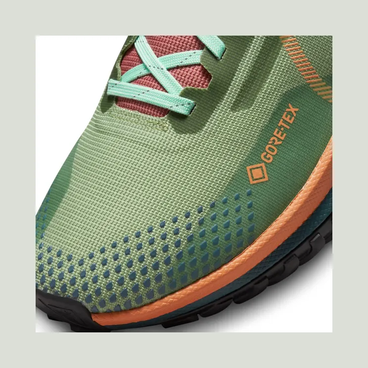 nike-air-pegasus DJ7929-300