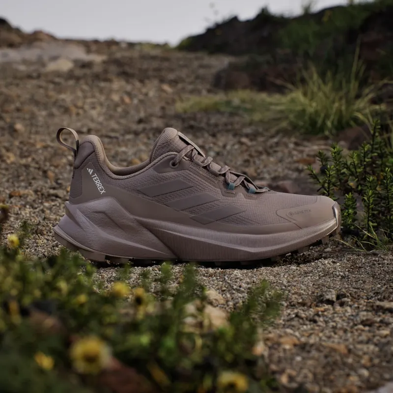 Adidas Terrex Trailmaker 2.0 GORE-TEX Hiking Earth Strata / Trace Brown / Chalky Brown (JQ9947)
