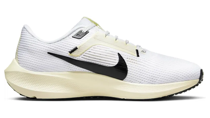 nike-air-pegasus DV3854-100