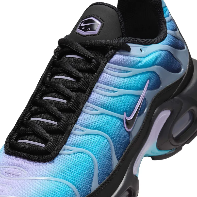Nike Air Max Plus Black Hydrangeas (HV2510-001)
