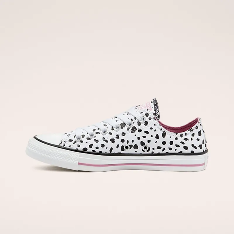 converse-chuck-taylor-all-star 169016C