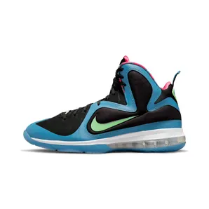 Nike Lebron 9 “South Coast” (DO5838-001)
