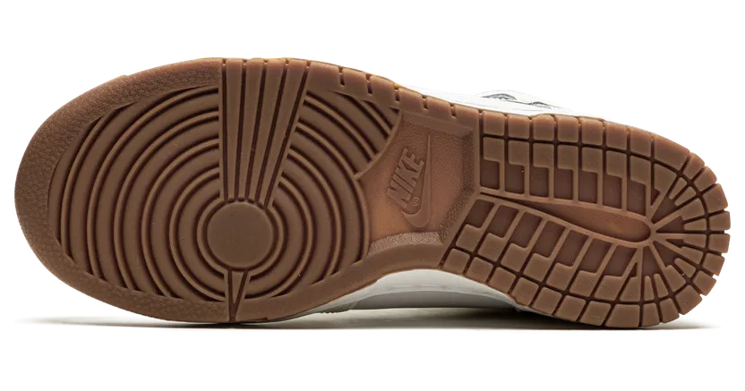 nike-dunk DD1869-109