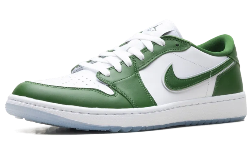 air-jordan-1 DD9315-300