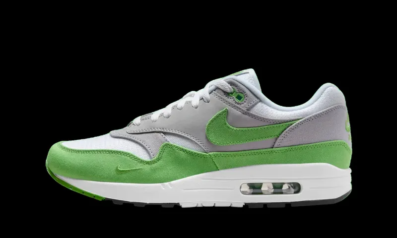 Nike Air Max 1 Patta 20th Anniversary (HF1012-300)