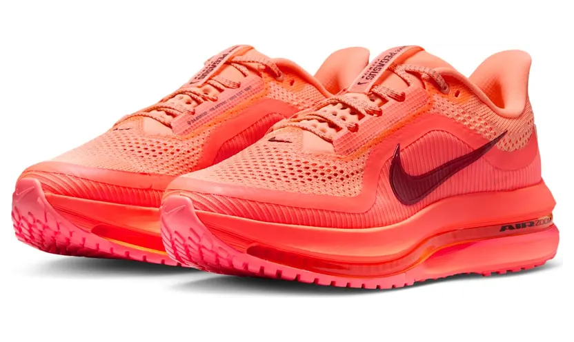 nike-air-pegasus HQ2593-802