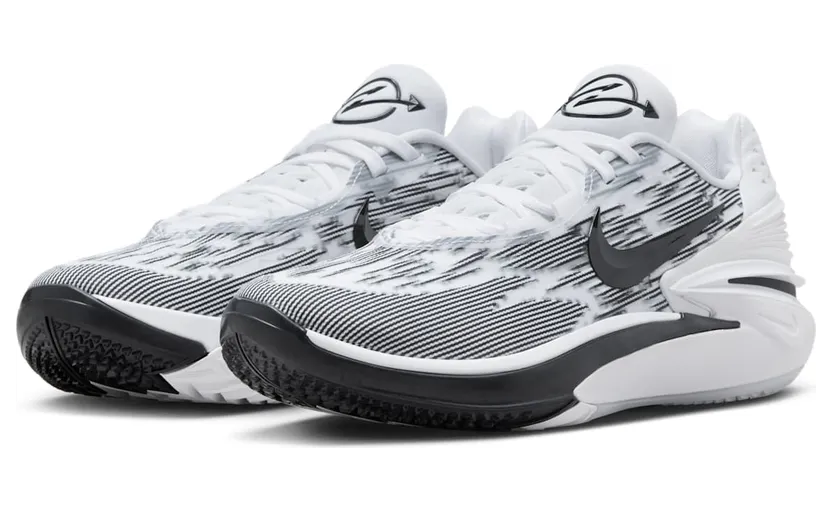 nike-air-zoom FJ8915-100
