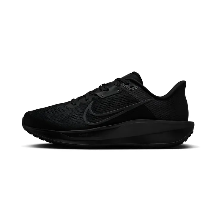 Nike Quest 6 “Black / Dark Smoke Grey” (FD6033-003)