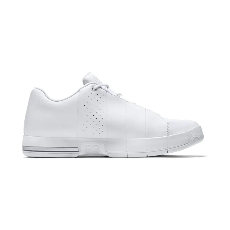 jordan-team-elite-2 AO1696-100
