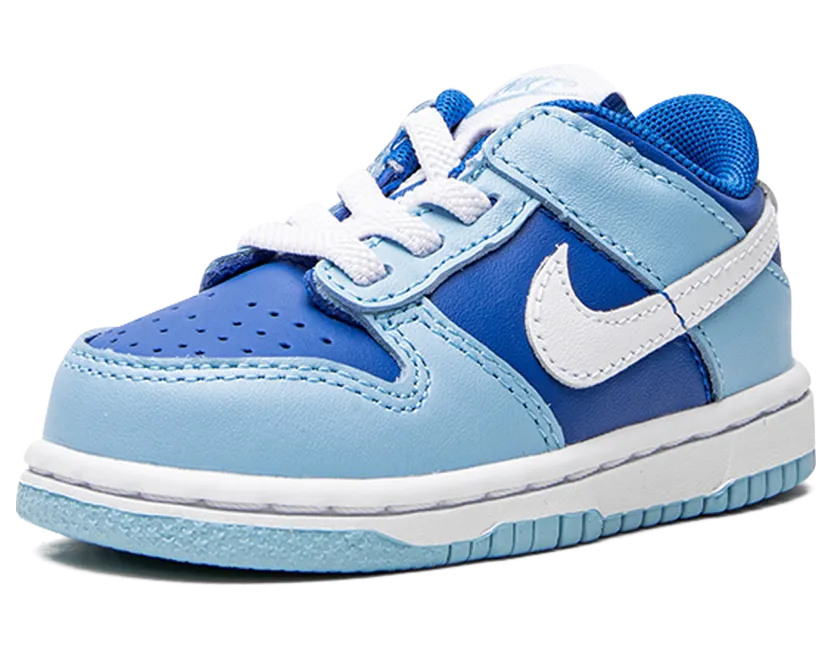 nike-dunk DV2634-400