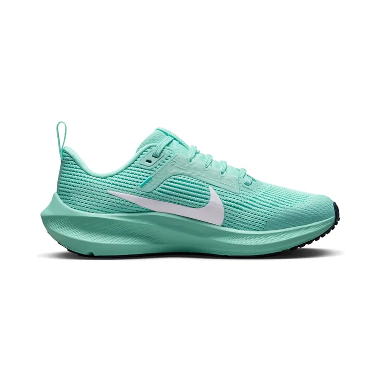 nike-air-pegasus DX2498-300