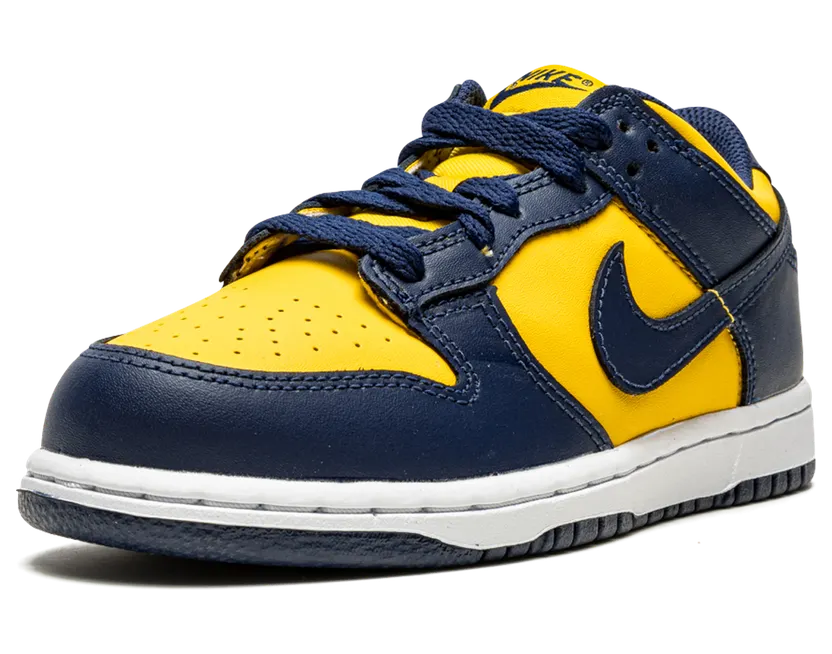 nike-dunk CW1588-700