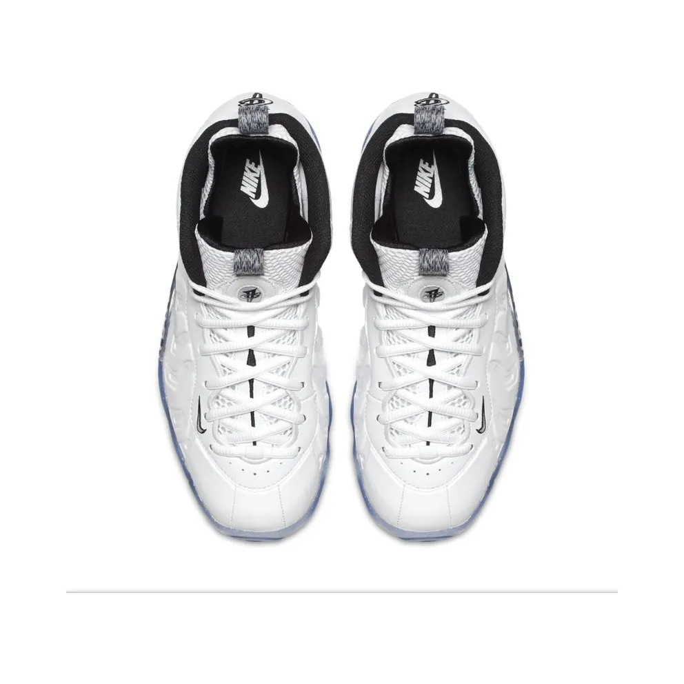 Nike Air Foamposite One White Ice (GS) White/Black (644791-102)