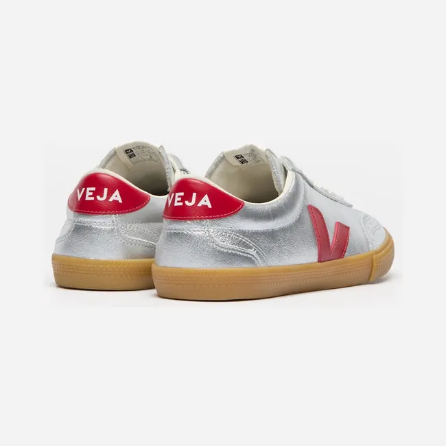 veja-volley VO2020881A