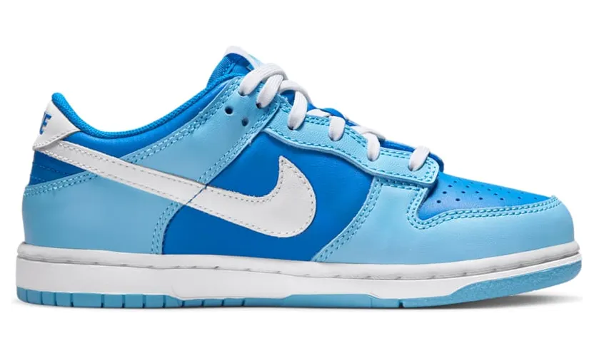 nike-dunk DV2635-400