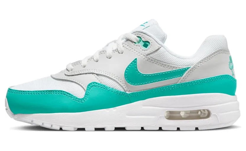 Nike Air Max 1 DZ3307-002