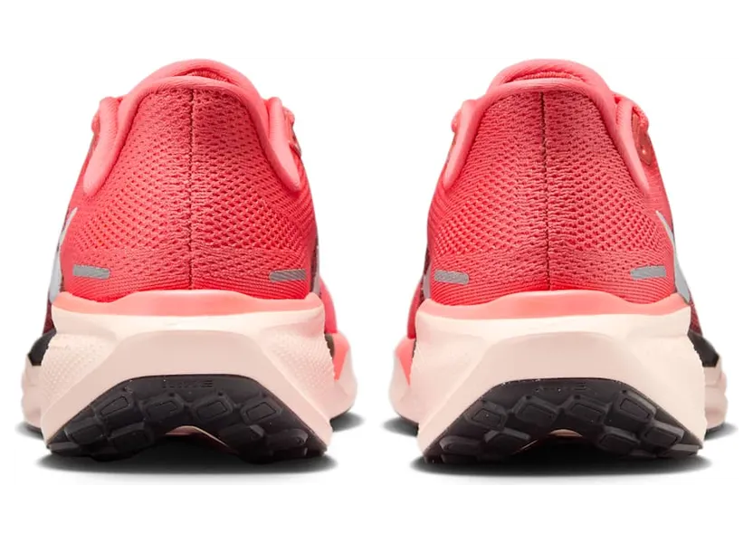 nike-air-pegasus FD2723-801