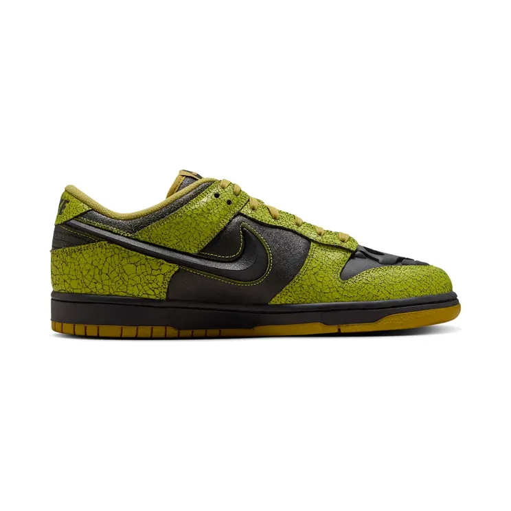 nike-dunk HV6103-300