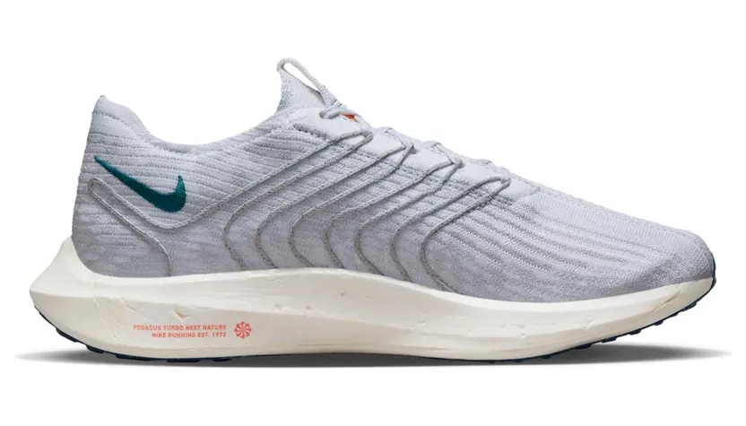 nike-air-pegasus DM3413-004