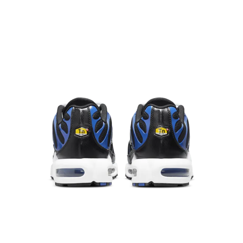 Nike Air Max Plus Black (DM8331-001)