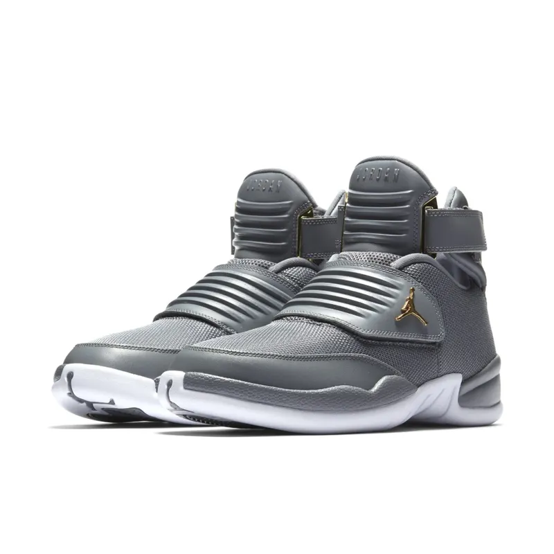 Jordan Generation 23 Cool Grey Cool Grey/Cool Grey-White-Metallic Gold (AA1294-004)