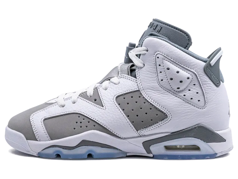 Air Jordan 6 GS “Cool Grey” (384665-100)