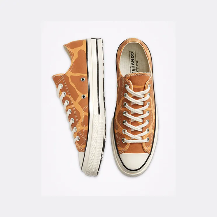 converse-chuck-taylor-all-star 167810C