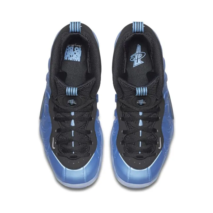 nike-little-posite 644791-402