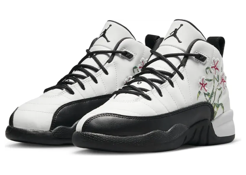 air-jordan-12 DR6954-100