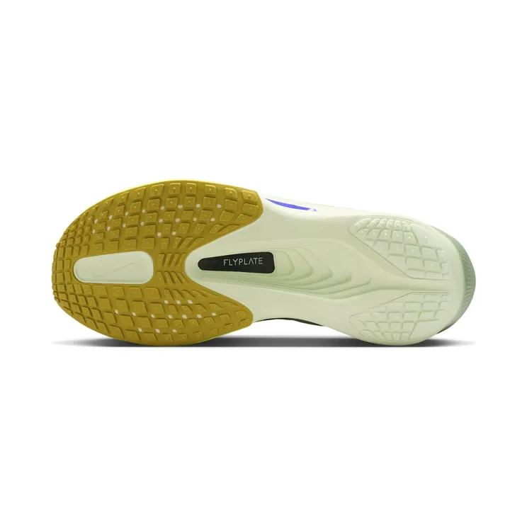 nike-zoom FN8454-300