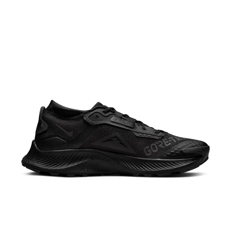 Nike Pegasus Trail 3 GORE-TEX Waterproof Trail Running Black (DC8793-001)