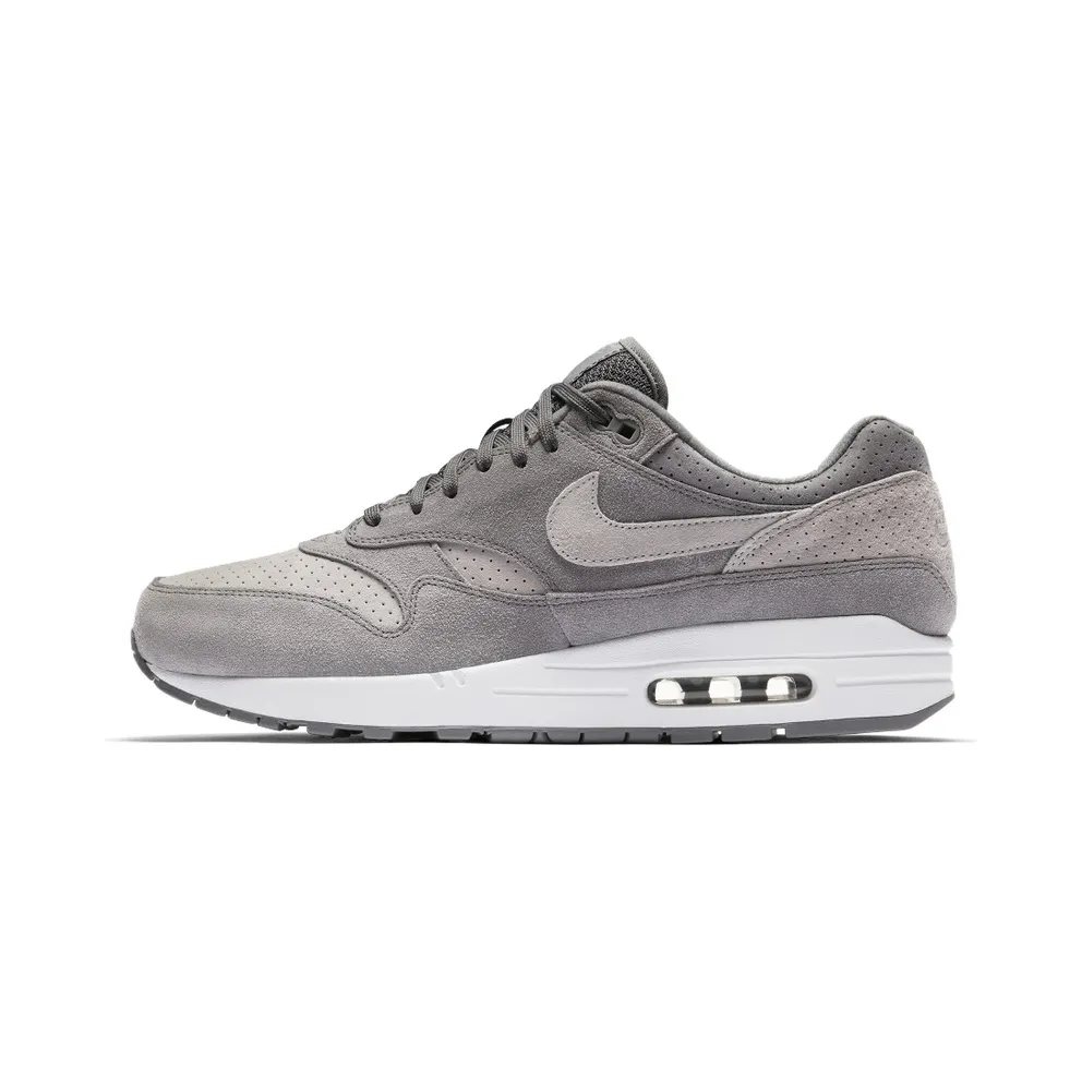 Nike Air Max 1 Cool Grey Wolf Grey (2018) (875844-005)