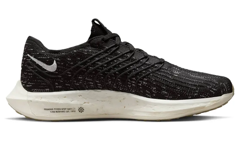 nike-air-pegasus DM3413-001