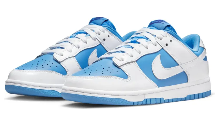 nike-dunk DJ9955-101
