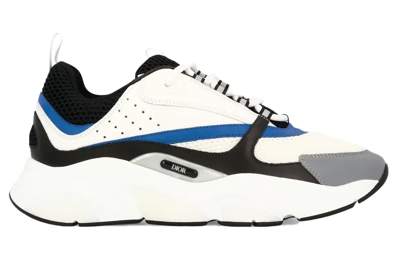 Dior B22 Blue White Grey