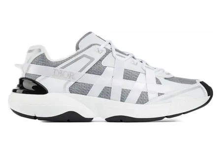 Dior B24 Runtek Grey White Nylon